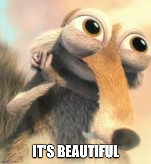 Ice age squirrel in love | IT'S BEAUTIFUL | image tagged in ice age squirrel in love | made w/ Imgflip meme maker