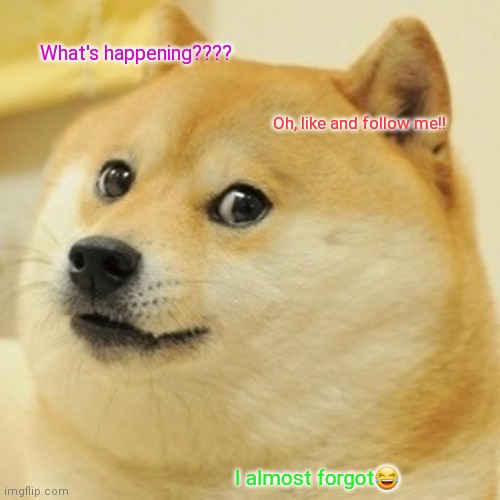 PLEASE FOLLOW | What's happening???? Oh, like and follow me!! I almost forgot😂 | image tagged in memes,doge | made w/ Imgflip meme maker