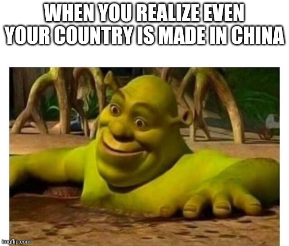 WHEN YOU REALIZE EVEN YOUR COUNTRY IS MADE IN CHINA | made w/ Imgflip meme maker