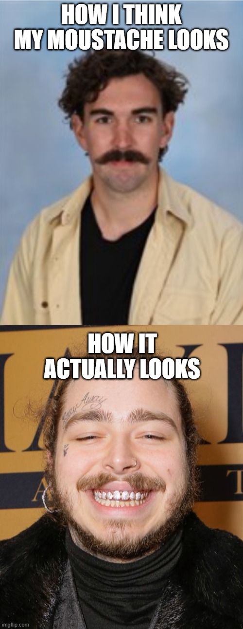 My year 7 teacher | HOW I THINK MY MOUSTACHE LOOKS; HOW IT ACTUALLY LOOKS | image tagged in moustache,classroom,teachers,year 7 | made w/ Imgflip meme maker