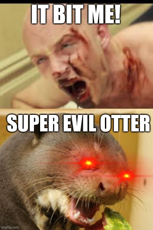 IT BIT ME! SUPER EVIL OTTER | image tagged in idubbz | made w/ Imgflip meme maker