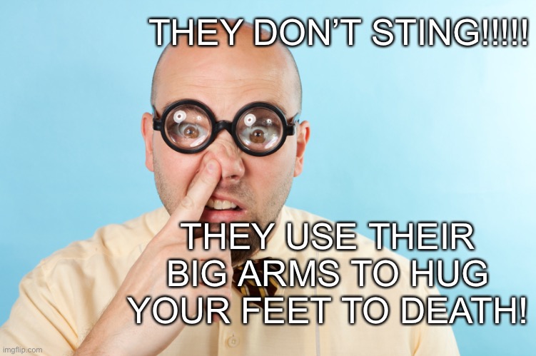 Nerdy Bald Guy | THEY DON’T STING!!!!! THEY USE THEIR BIG ARMS TO HUG YOUR FEET TO DEATH! | image tagged in nerdy bald guy | made w/ Imgflip meme maker