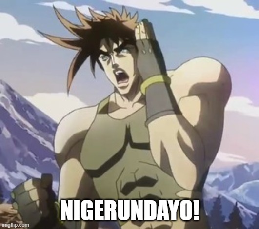 Nigerundayo | NIGERUNDAYO! | image tagged in nigerundayo | made w/ Imgflip meme maker