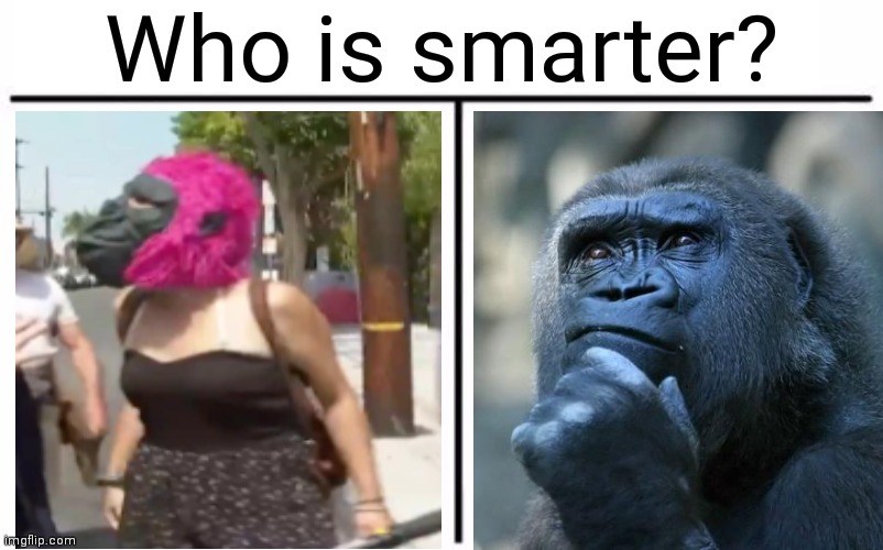 Who is smarter? | made w/ Imgflip meme maker