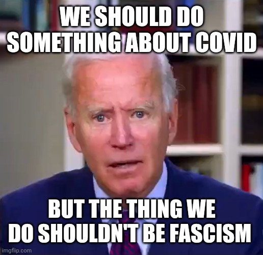 There has got to be a better way. | WE SHOULD DO SOMETHING ABOUT COVID; BUT THE THING WE DO SHOULDN'T BE FASCISM | image tagged in slow joe biden dementia face | made w/ Imgflip meme maker