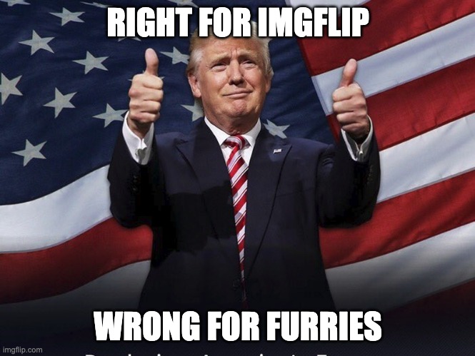 Donald Trump. Right for Imgflip, wrong for furries. | RIGHT FOR IMGFLIP; WRONG FOR FURRIES | image tagged in donald trump thumbs up | made w/ Imgflip meme maker