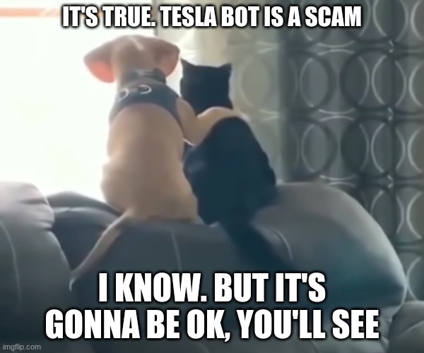 That's What Friends Are For | IT'S TRUE. TESLA BOT IS A SCAM; I KNOW. BUT IT'S GONNA BE OK, YOU'LL SEE | image tagged in pals,tesla bot,tesla,funny | made w/ Imgflip meme maker