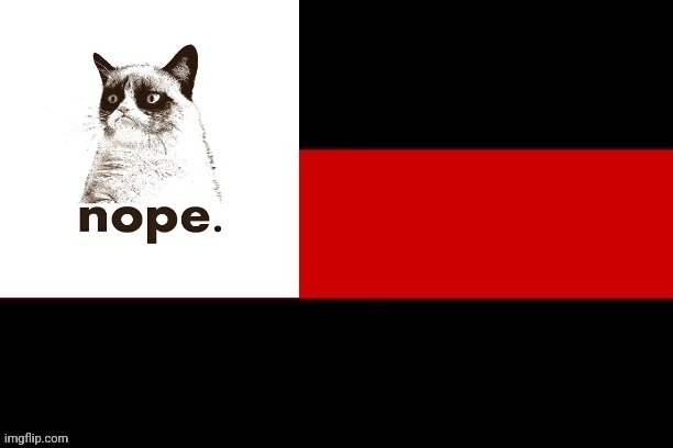 Opposition Party™ Flag | image tagged in opposition party,drstrangmeme | made w/ Imgflip meme maker