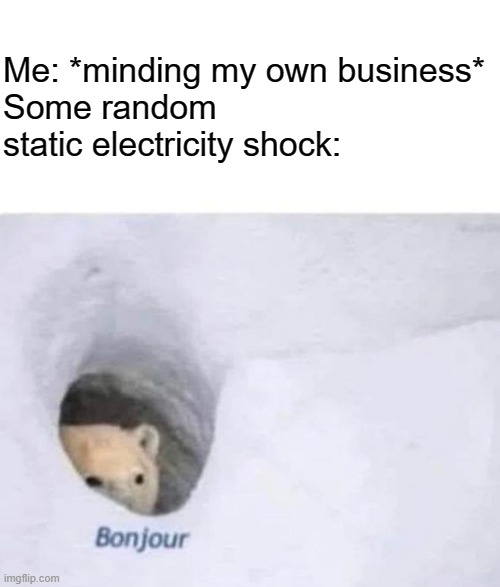 Bonjour | Me: *minding my own business*
Some random static electricity shock: | image tagged in bonjour | made w/ Imgflip meme maker