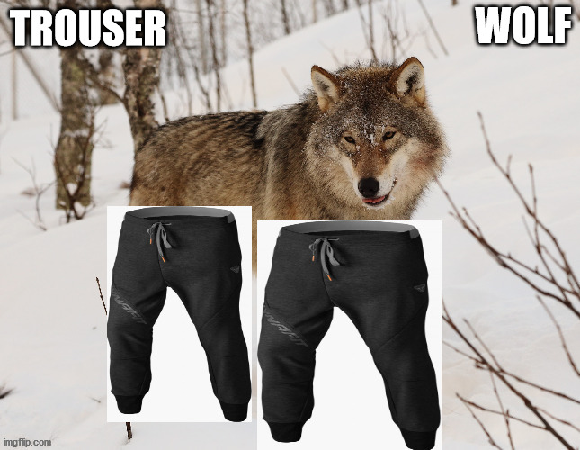 This was the result of a word generator - but it's a real meme now. | WOLF; TROUSER | image tagged in trouser wolf,memes,custom template | made w/ Imgflip meme maker