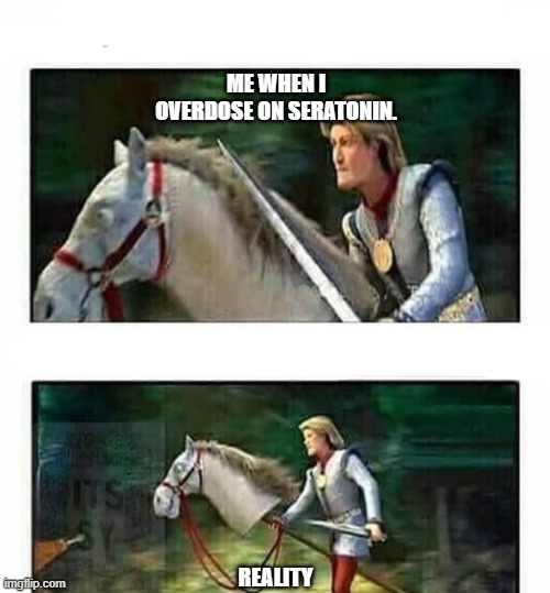 Prince Charming’s horse | ME WHEN I OVERDOSE ON SERATONIN. REALITY | image tagged in prince charming s horse | made w/ Imgflip meme maker