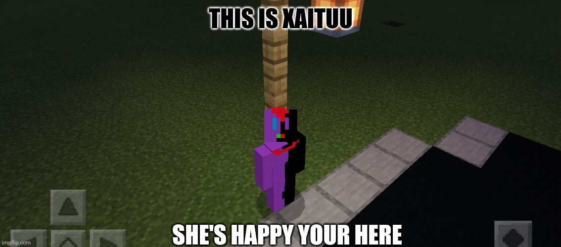 zietwo | THIS IS XAITUU; SHE'S HAPPY YOUR HERE | image tagged in minecraft,oc | made w/ Imgflip meme maker