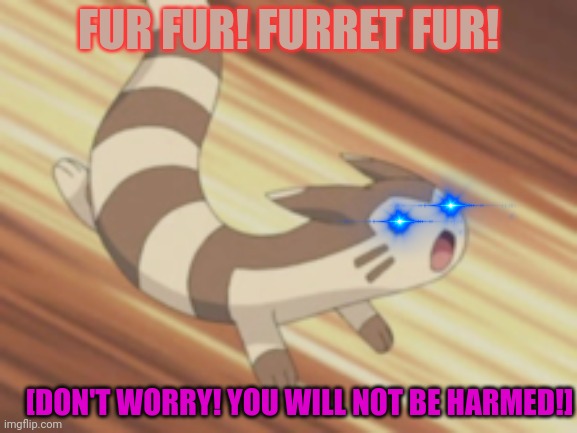 Angry Furret | FUR FUR! FURRET FUR! [DON'T WORRY! YOU WILL NOT BE HARMED!] | image tagged in angry furret | made w/ Imgflip meme maker