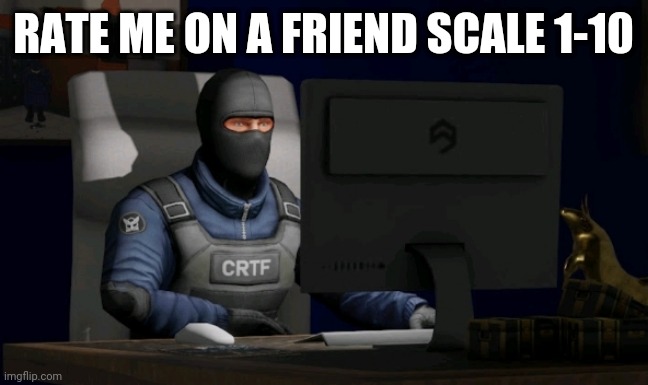 counter-terrorist looking at the computer | RATE ME ON A FRIEND SCALE 1-10 | image tagged in computer | made w/ Imgflip meme maker
