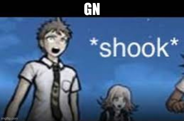 *shook* | GN | image tagged in shook | made w/ Imgflip meme maker