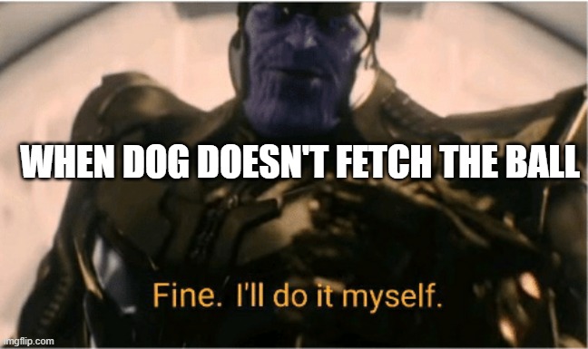 Fine Ill do it myself Thanos |  WHEN DOG DOESN'T FETCH THE BALL | image tagged in fine ill do it myself thanos | made w/ Imgflip meme maker