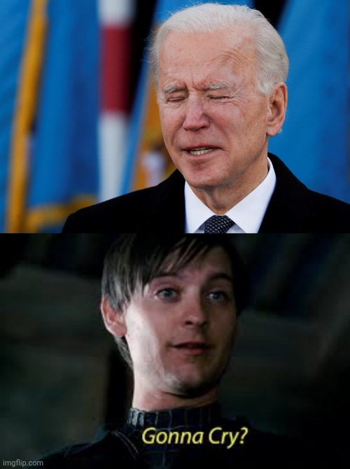 image tagged in gonna cry | made w/ Imgflip meme maker