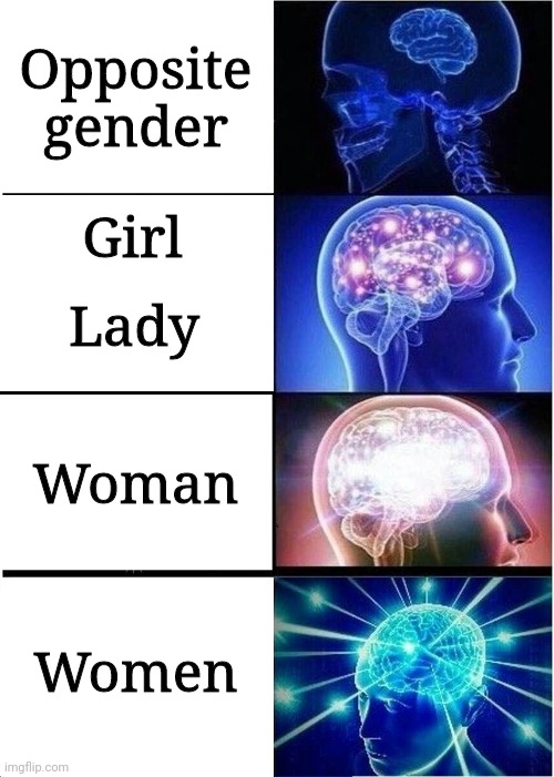 Expanding Brain | Opposite gender; Girl; Lady; Woman; Women | image tagged in memes,expanding brain | made w/ Imgflip meme maker