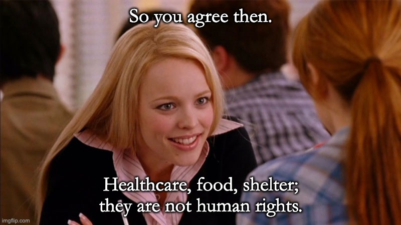 Vaccination Mandates | So you agree then. Healthcare, food, shelter; they are not human rights. | image tagged in so you agree | made w/ Imgflip meme maker