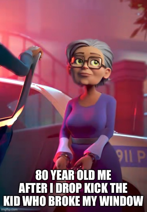 WHOOP WHOOP ITS THE SOUND OF DA POLICE | 80 YEAR OLD ME AFTER I DROP KICK THE KID WHO BROKE MY WINDOW | image tagged in police,old lady | made w/ Imgflip meme maker