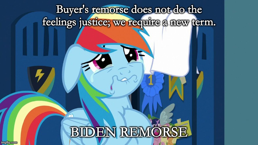 RD Remorse | Buyer's remorse does not do the feelings justice; we require a new term. BIDEN REMORSE | image tagged in rd remorse | made w/ Imgflip meme maker