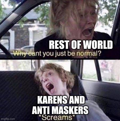 Why Can't You Just Be Normal | REST OF WORLD; KARENS AND ANTI MASKERS | image tagged in why can't you just be normal | made w/ Imgflip meme maker