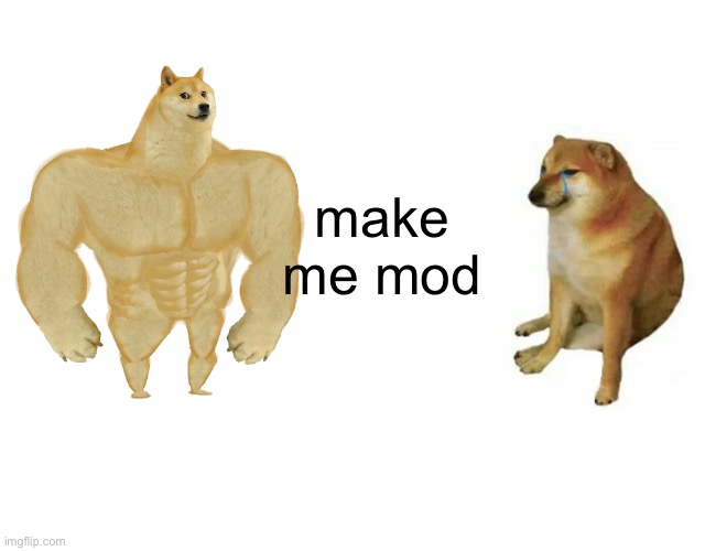Buff Doge vs. Cheems | make me mod | image tagged in memes,buff doge vs cheems | made w/ Imgflip meme maker