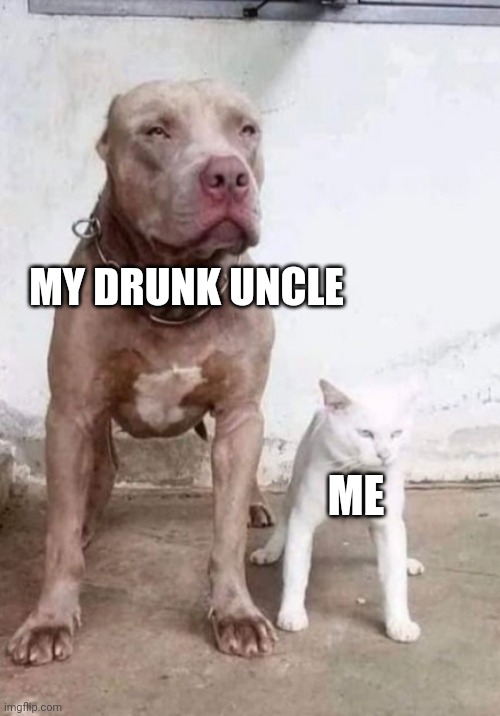 funny | MY DRUNK UNCLE; ME | image tagged in dog cat | made w/ Imgflip meme maker
