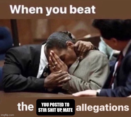 beating the allegations | YOU POSTED TO STIR SHIT UP, MATE | image tagged in beating the allegations | made w/ Imgflip meme maker