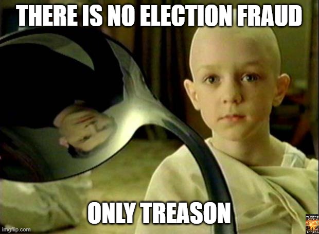 treas | THERE IS NO ELECTION FRAUD; ONLY TREASON | image tagged in spoon matrix | made w/ Imgflip meme maker