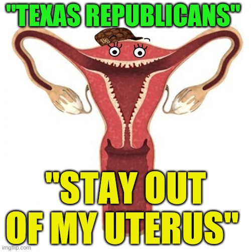 Scumbag Uterus  | "TEXAS REPUBLICANS"; "STAY OUT OF MY UTERUS" | image tagged in scumbag uterus | made w/ Imgflip meme maker