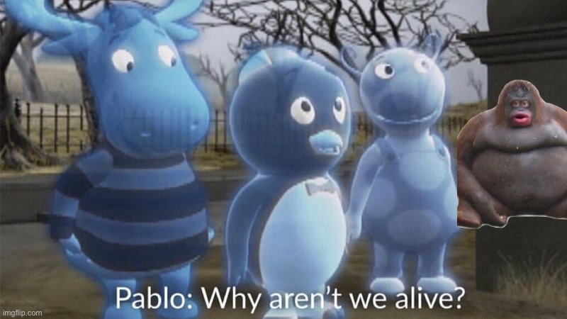for the record i’m still on break just posting this shit. also just on break from this stream. | image tagged in pablo why aren't we alive | made w/ Imgflip meme maker