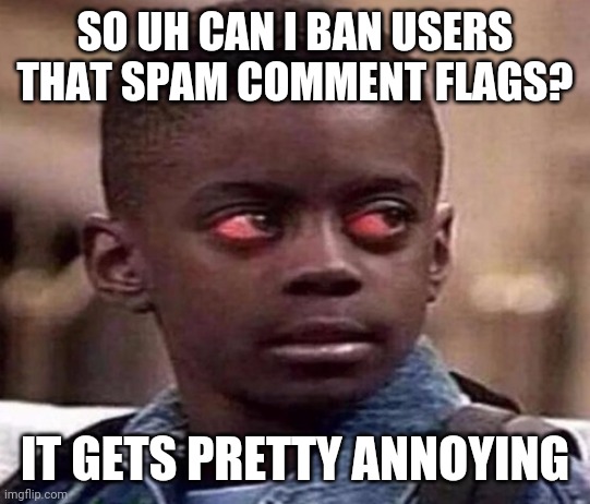 High | SO UH CAN I BAN USERS THAT SPAM COMMENT FLAGS? IT GETS PRETTY ANNOYING | image tagged in high kid | made w/ Imgflip meme maker