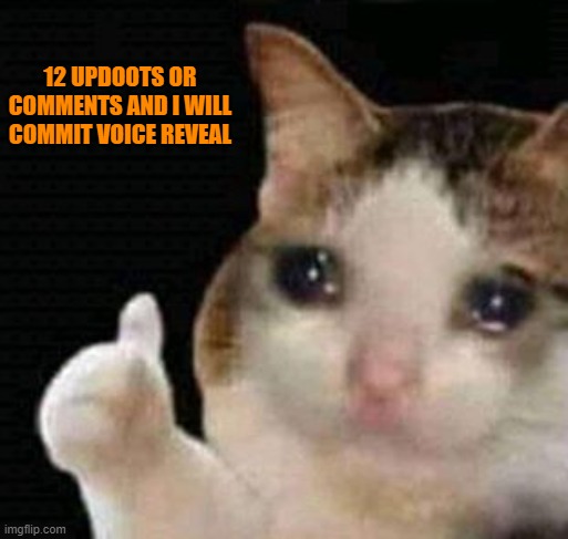 XD i dont have anything better to do | 12 UPDOOTS OR COMMENTS AND I WILL COMMIT VOICE REVEAL | image tagged in sad me thumbs up | made w/ Imgflip meme maker