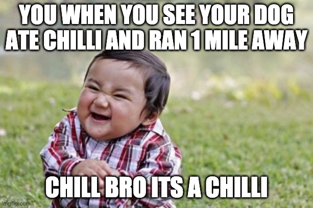 Evil Toddler | YOU WHEN YOU SEE YOUR DOG ATE CHILLI AND RAN 1 MILE AWAY; CHILL BRO ITS A CHILLI | image tagged in memes,evil toddler | made w/ Imgflip meme maker