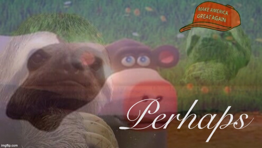 v rare where I got my SN reveal — perhaps | image tagged in sloth perhaps | made w/ Imgflip meme maker