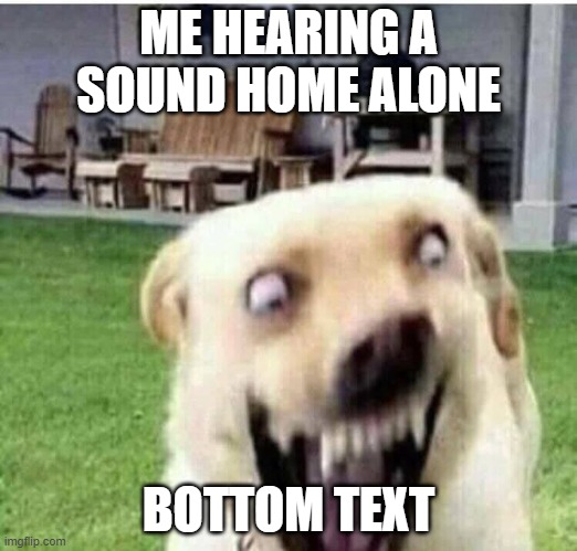 AHHHH | ME HEARING A SOUND HOME ALONE; BOTTOM TEXT | image tagged in scared boi | made w/ Imgflip meme maker
