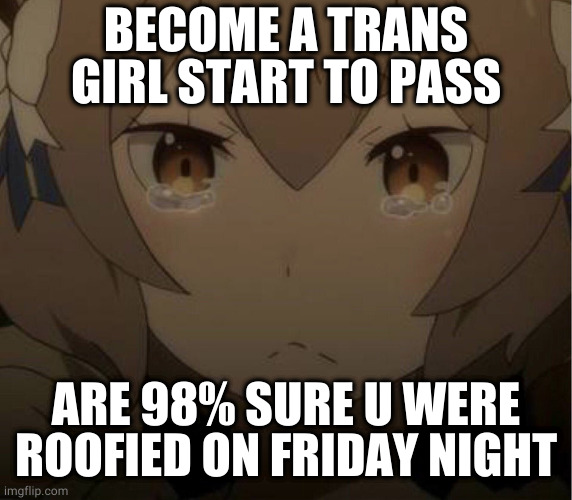 Sad gay sounds | BECOME A TRANS GIRL START TO PASS; ARE 98% SURE U WERE ROOFIED ON FRIDAY NIGHT | image tagged in sad gay sounds | made w/ Imgflip meme maker