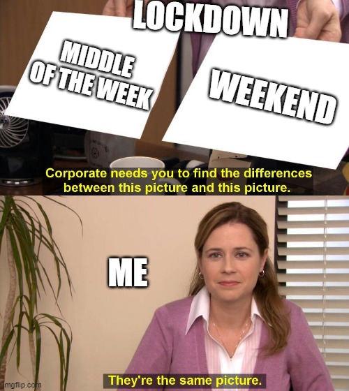 Honestly, it feels like the same day over and over again to TT^TT | LOCKDOWN; MIDDLE OF THE WEEK; WEEKEND; ME | image tagged in they are the same picture,coronavirus,home,lockdown,memes | made w/ Imgflip meme maker
