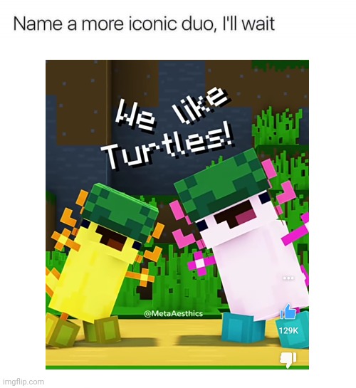I like turtles | image tagged in cute | made w/ Imgflip meme maker