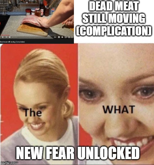 New fear unlocked! | DEAD MEAT STILL MOVING (COMPLICATION); NEW FEAR UNLOCKED | image tagged in the what,fear,animals,dead,meat,it's alive | made w/ Imgflip meme maker
