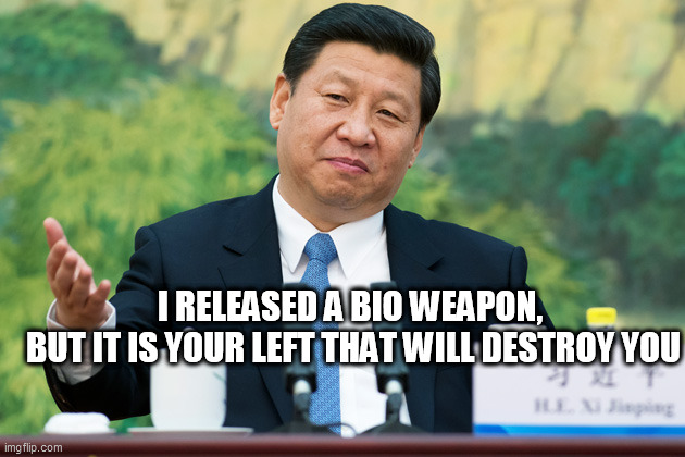 Xi Jinping | I RELEASED A BIO WEAPON,
 BUT IT IS YOUR LEFT THAT WILL DESTROY YOU | image tagged in xi jinping | made w/ Imgflip meme maker