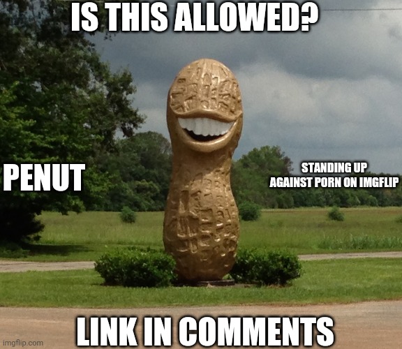 Is it allowed | IS THIS ALLOWED? STANDING UP AGAINST PORN ON IMGFLIP; PENUT; LINK IN COMMENTS | image tagged in penut | made w/ Imgflip meme maker