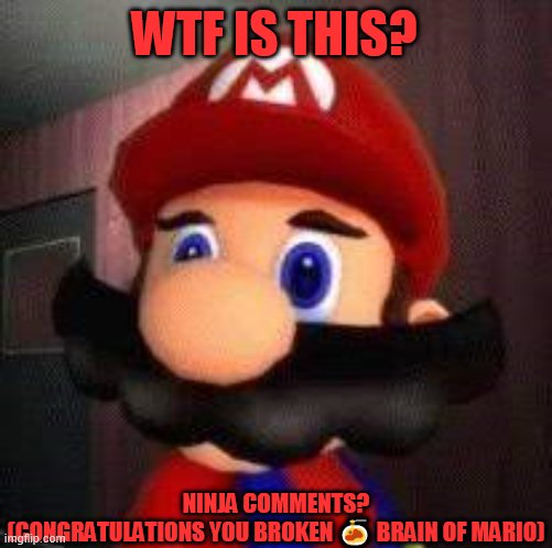 Stupid Mario | WTF IS THIS? NINJA COMMENTS?
(CONGRATULATIONS YOU BROKEN 🍝 BRAIN OF MARIO) | image tagged in stupid mario | made w/ Imgflip meme maker