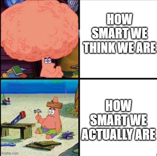 patrick big brain | HOW SMART WE THINK WE ARE; HOW SMART WE ACTUALLY ARE | image tagged in patrick big brain | made w/ Imgflip meme maker