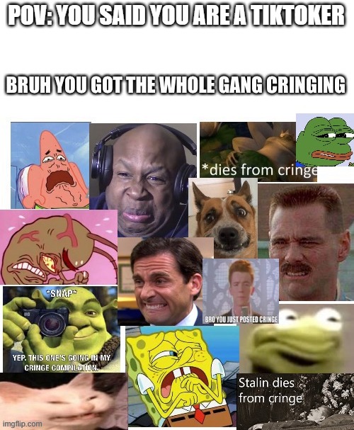 g | POV: YOU SAID YOU ARE A TIKTOKER | image tagged in the gang cringes | made w/ Imgflip meme maker
