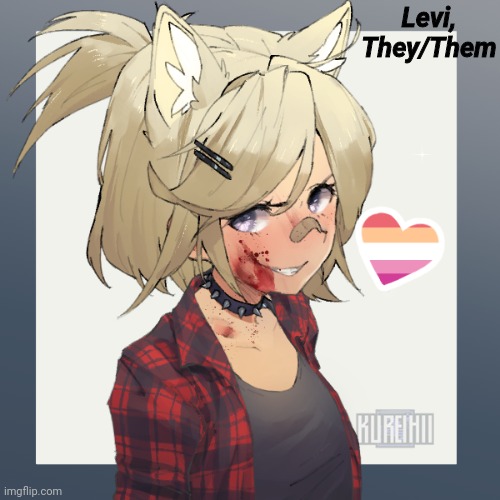 Levi, They/Them | made w/ Imgflip meme maker