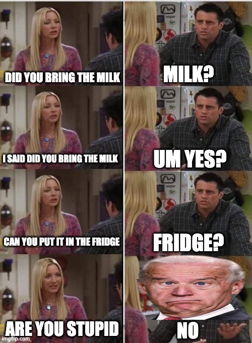 Phoebe Joey | DID YOU BRING THE MILK; MILK? UM YES? I SAID DID YOU BRING THE MILK; CAN YOU PUT IT IN THE FRIDGE; FRIDGE? ARE YOU STUPID; NO | image tagged in phoebe joey | made w/ Imgflip meme maker