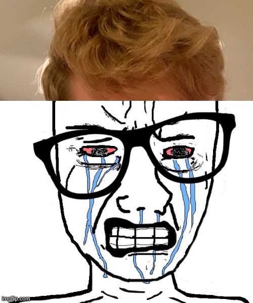 Wojak Crying | image tagged in wojak crying | made w/ Imgflip meme maker