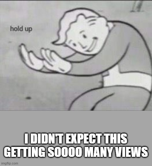 Fallout Hold Up | I DIDN'T EXPECT THIS GETTING SOOOO MANY VIEWS | image tagged in fallout hold up | made w/ Imgflip meme maker